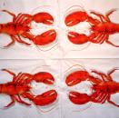 179 Crab - 3-ply
